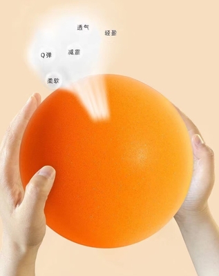 스키프볼 실내 조용한 튀기 무성 볼 24cm 어린이 나이 5-7 년