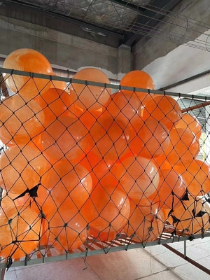 0~24개월까지의 Pvc 볼